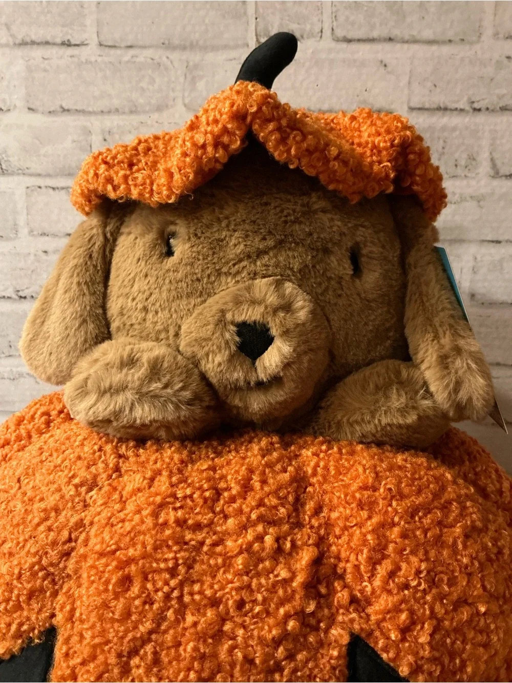 HUMANE SOCIETY 21x18 peek a boo halloween dog pillow